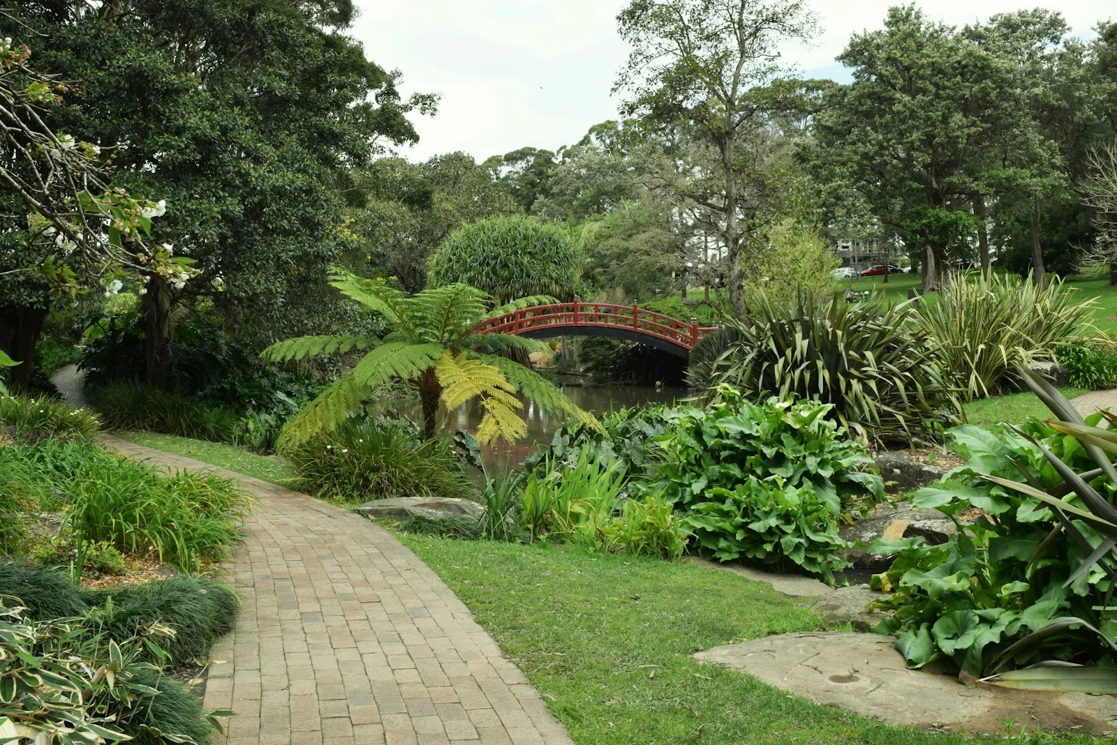 Allée entourée de végétation et d’arbres dans un jardin