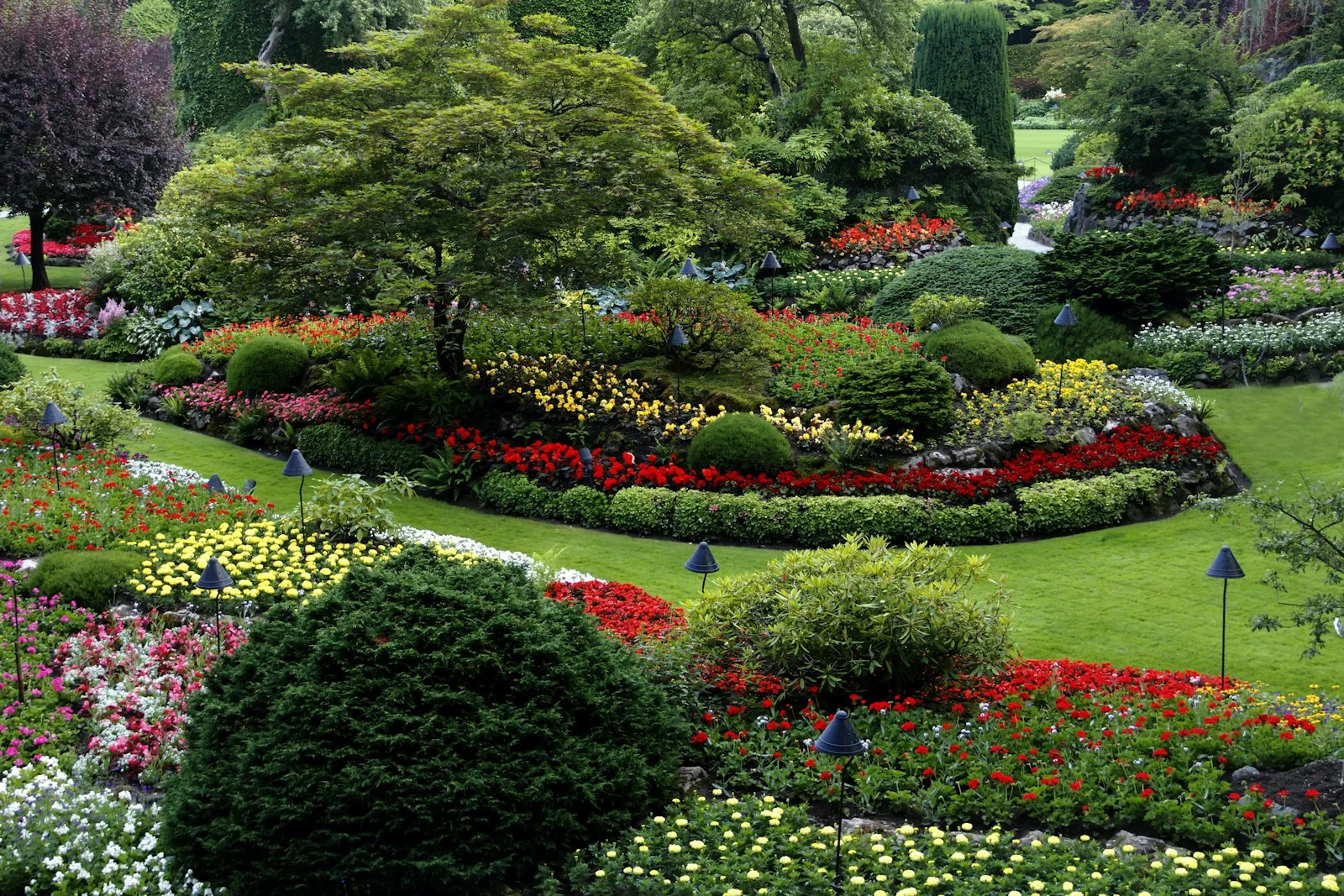 Jardin paysager mêlant arbustes taillés et massifs fleuris